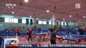 2026美加墨世界杯官网 乒乓球台龟